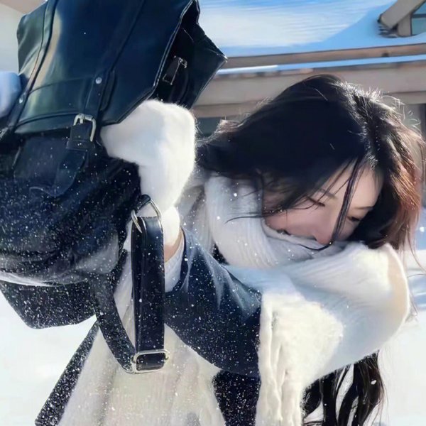 新包法利夫人